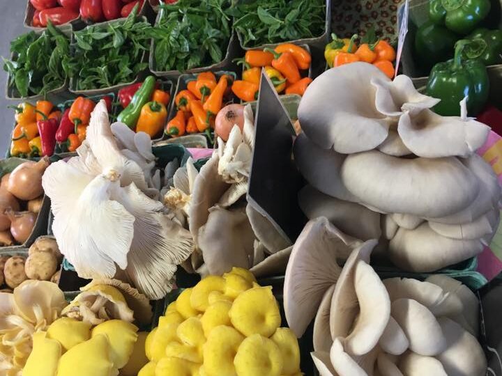 Backbonefarm Farmers Market Schedule