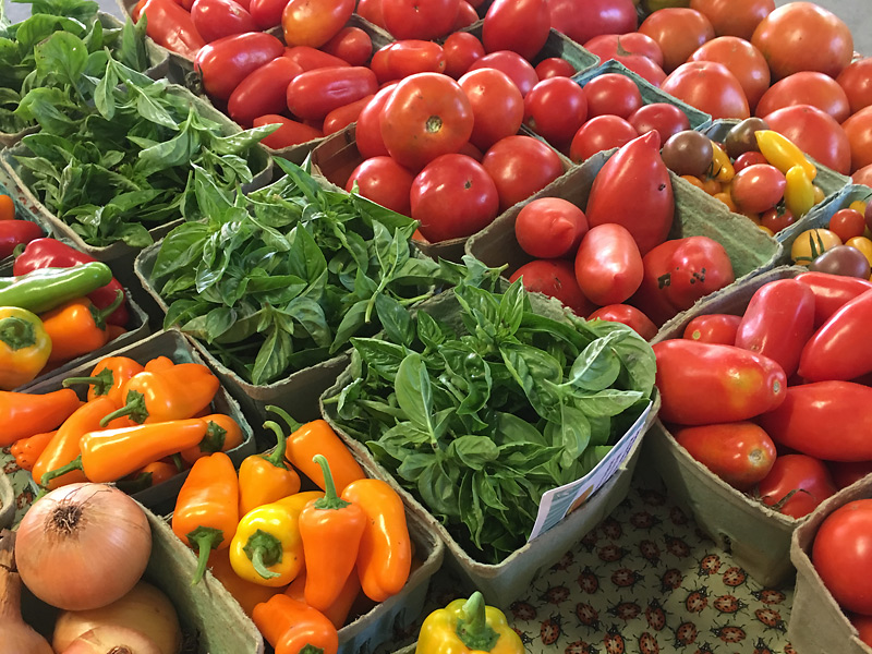 Organic farm in Garrett County