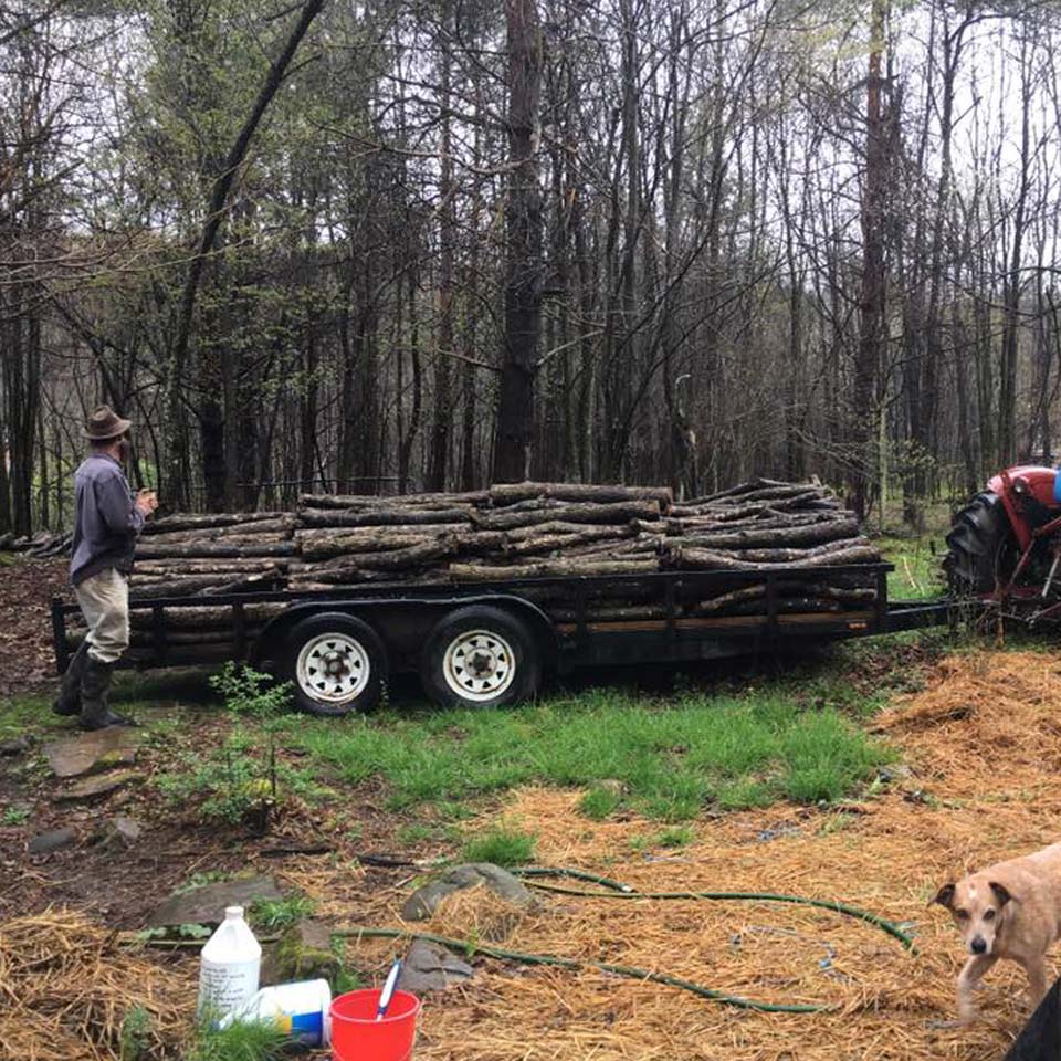 Small Family Farm Mushroom Cultivation Agricluture in western Maryland