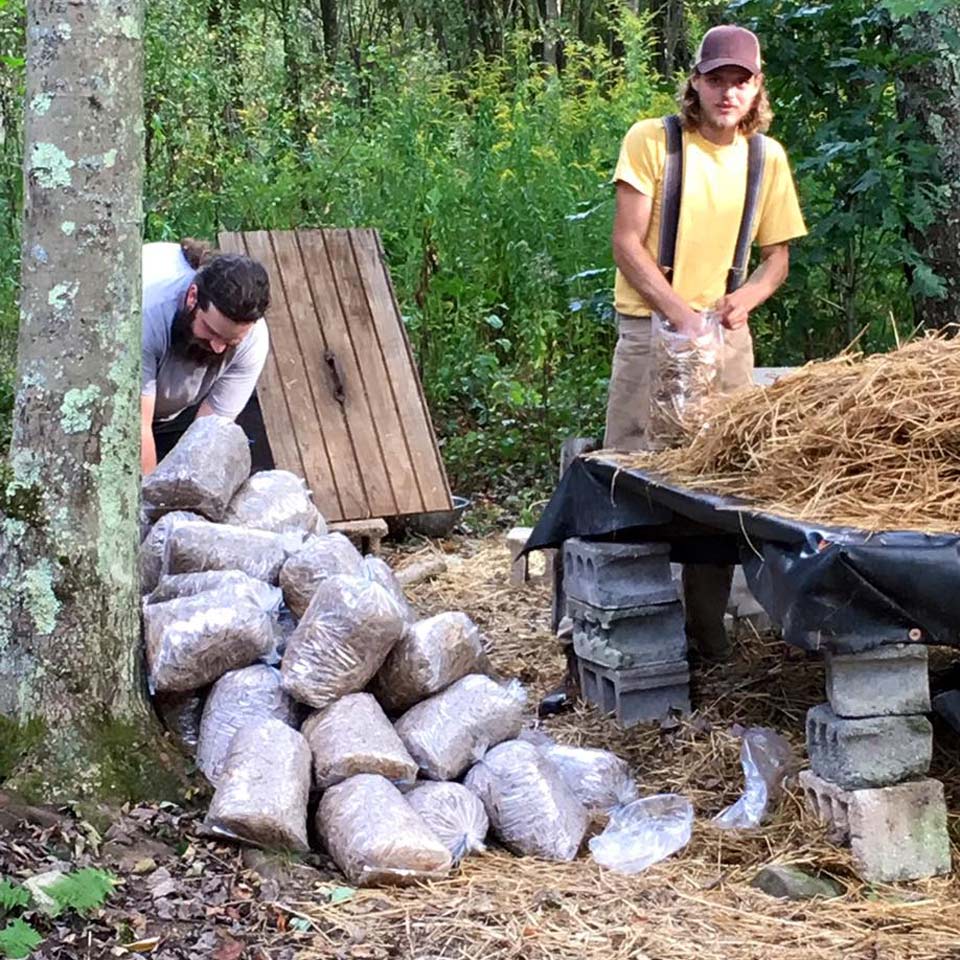 Small Family Farm Mushroom Cultivation Agricluture in western Maryland