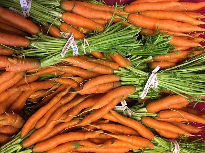 organic produce Garrett County