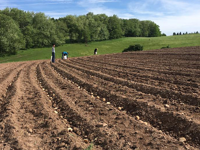 chemical free farming in western maryland