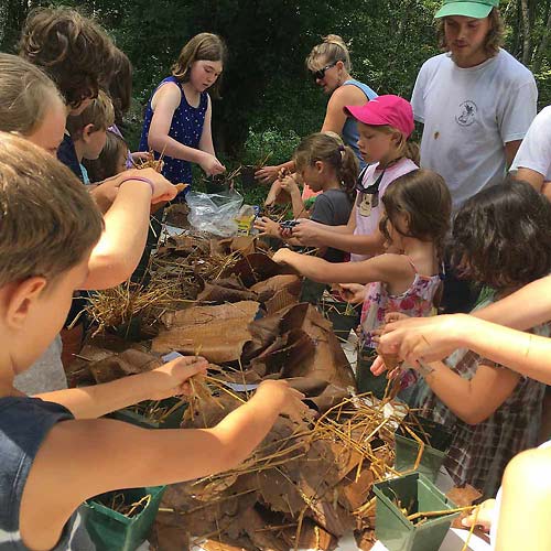 Mushroom cultivation workshops and learning
