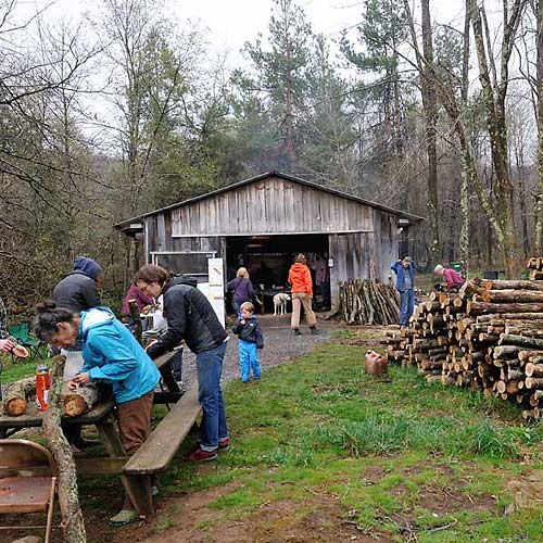 Mushroom cultivation workshops and learning