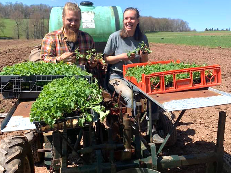 Organic farm near Deep Creek Lake