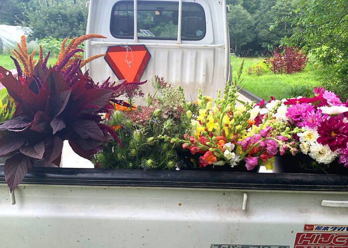 Pick your own wedding flowers in the Deep Creek Lake Area