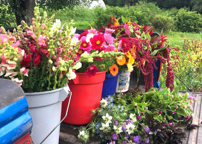 Pick your own wedding flowers in the Deep Creek Lake Area