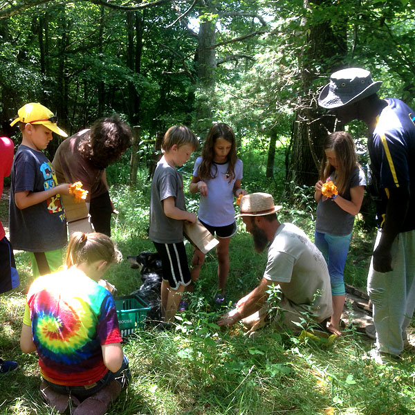 Farm Camp Payment - Backbone Food Farm, Garrett county Maryland